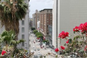 bougainvillea city street buildings 720x480