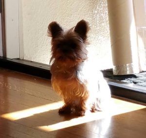 Mitzie Mae Mitzie Mae