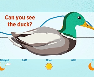 Energy saving duck curve