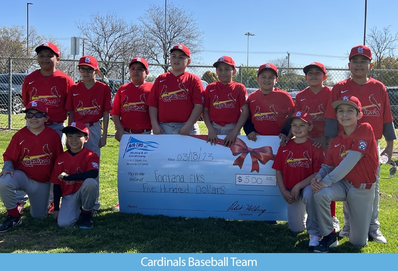 Cardinals Baseball Team 1