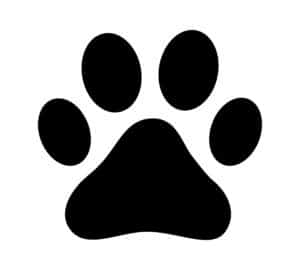 Dog or cat paw print flat icon for animal apps and websites