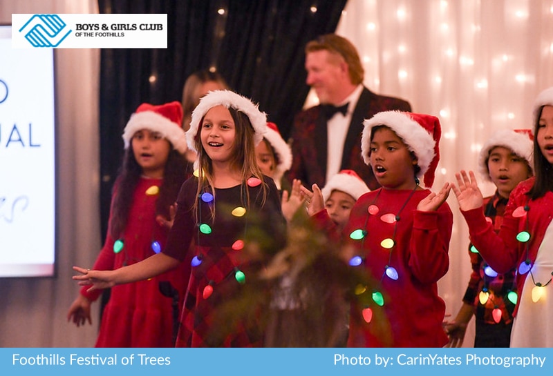Boys and Girls Festival of Trees Event