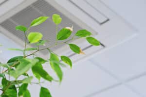 air quality air filter HVAC