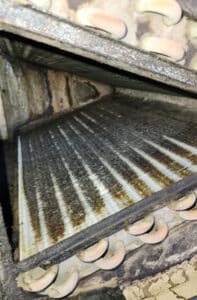 dirty evaporator coils dirty evaporator coils