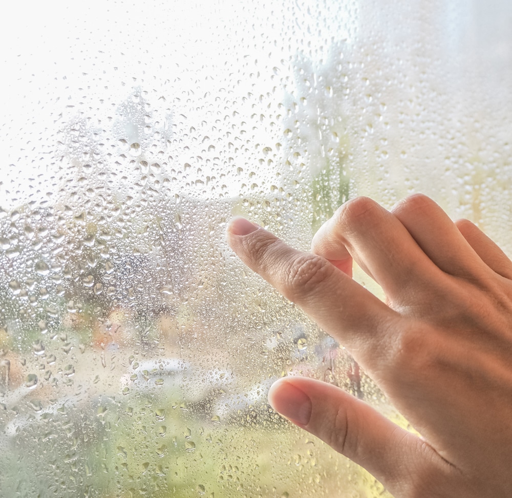 humid window